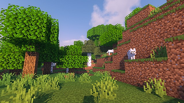 optifine HD 1.16.5